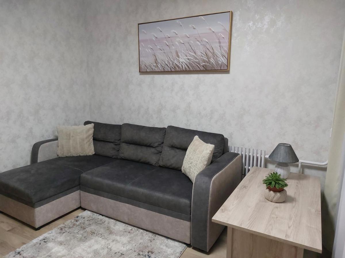 ויסגינס Patogus Poilsis Prie Ezero/Comfortable Rest מראה חיצוני תמונה